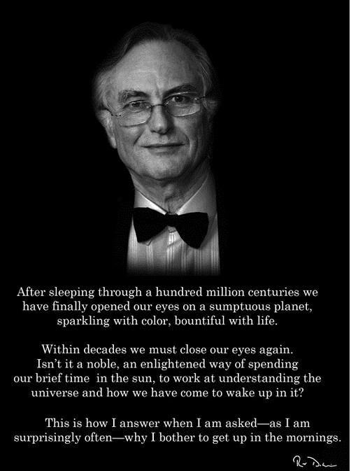dawkins